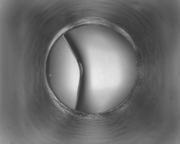 X0000078831146200611130925