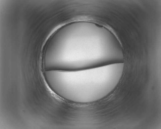 X0000078831147200611130925