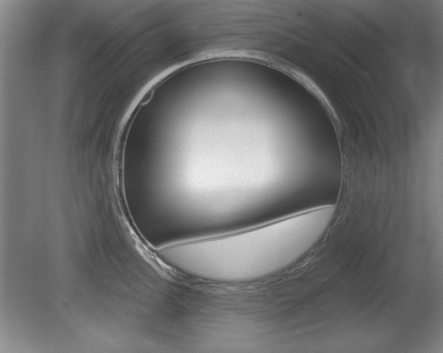 X0000078831148200611130925