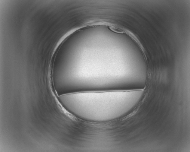 X0000078831149200611130925