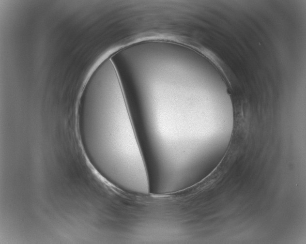 X0000078831151200611130925