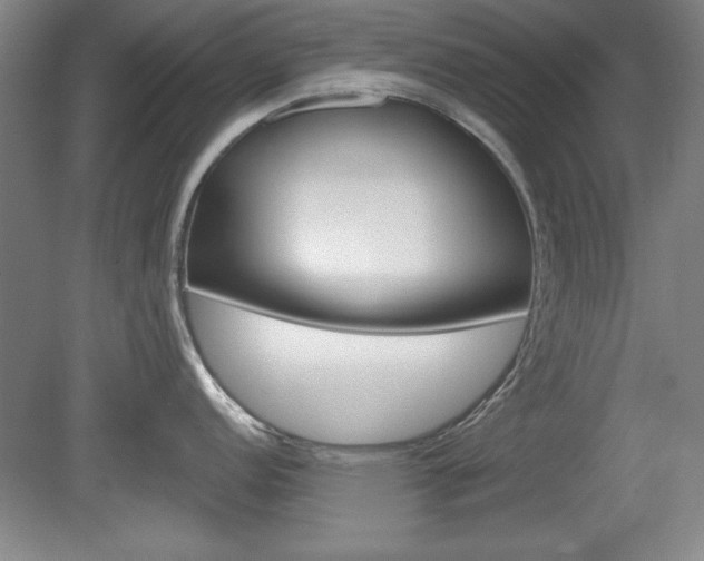 X0000078831152200611130925