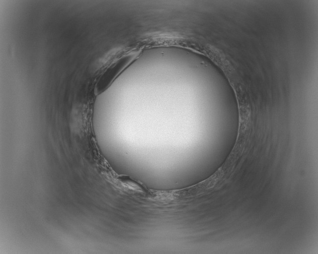 X0000078831157200611130924