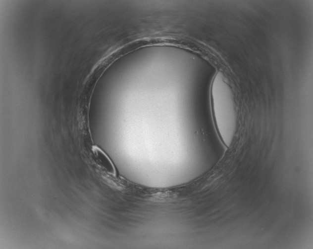 X0000078831160200611130924
