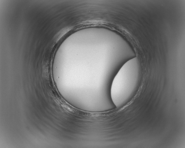X0000078831162200611130924