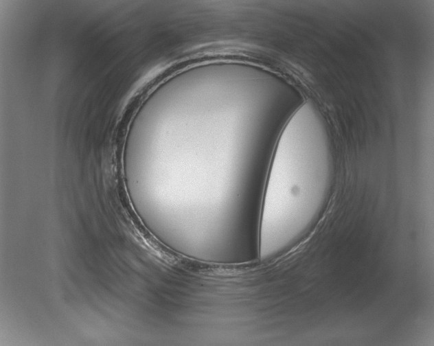 X0000078831164200611130924