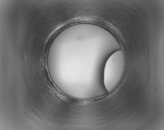 X0000078831166200611130924