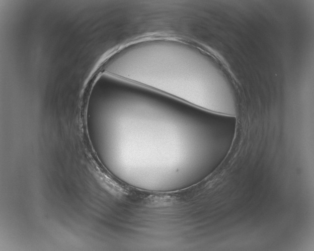 X0000078831168200611130924