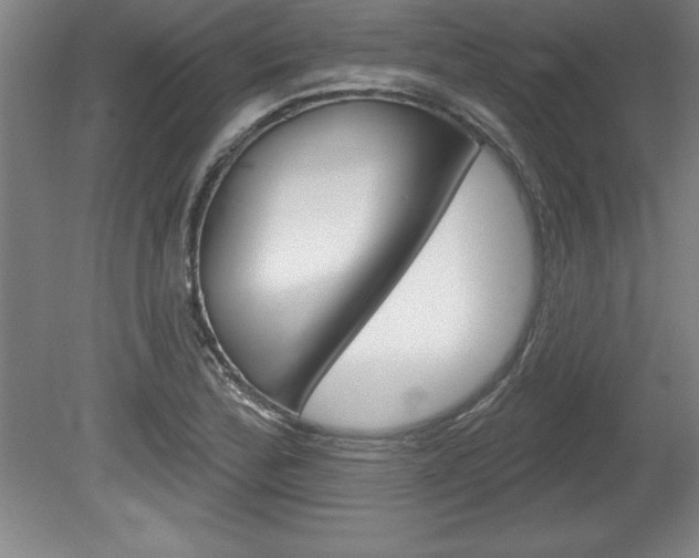 X0000078831172200611130924
