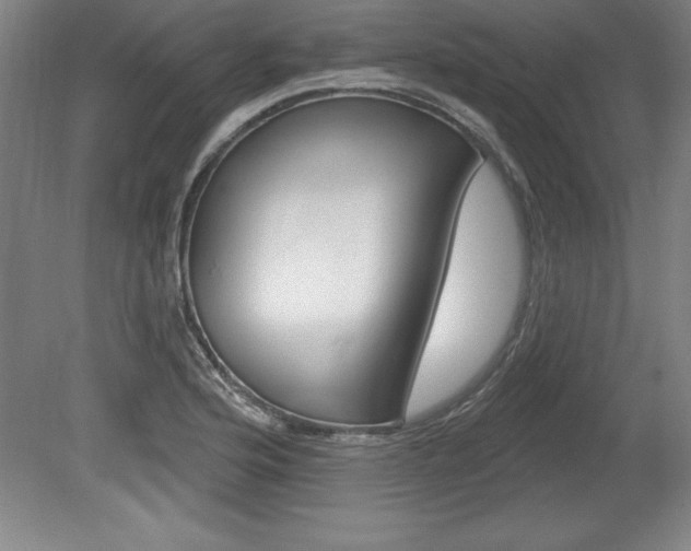 X0000078831176200611130924