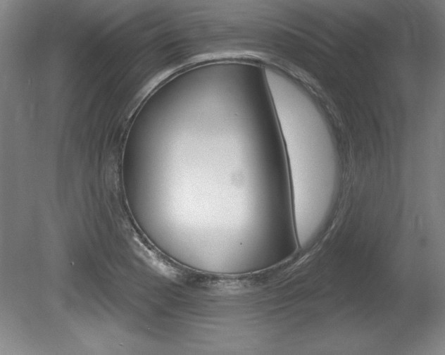 X0000078831177200611130924