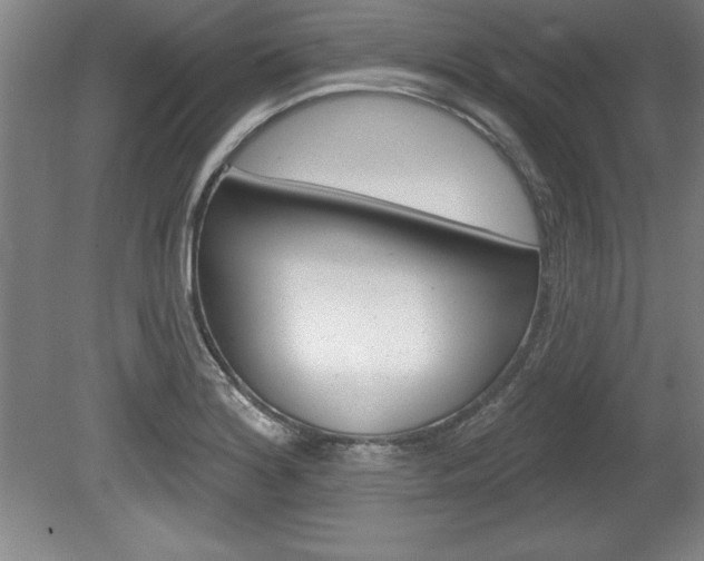 X0000078831180200611130924