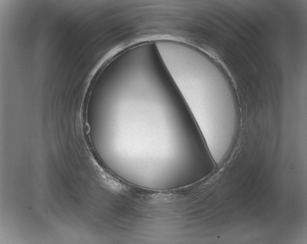X0000078831181200611130924