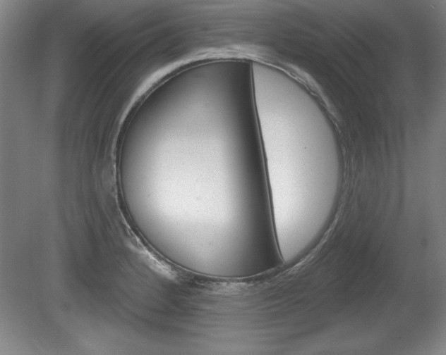 X0000078831184200611130924
