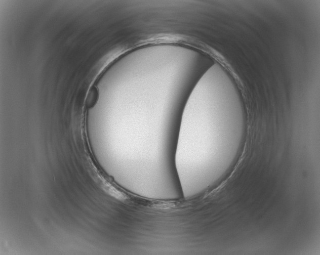 X0000078831186200611130924