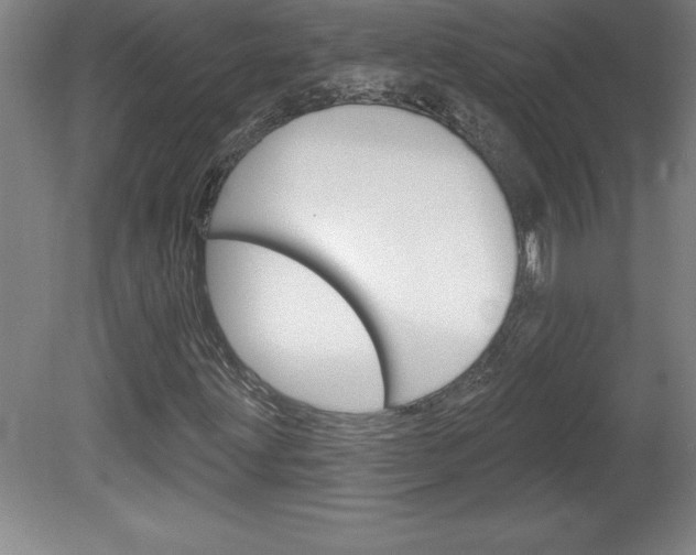 X0000078831203200611130923