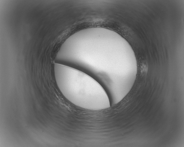 X0000078831204200611130923