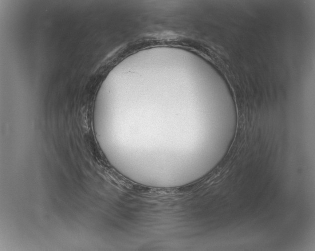 X0000078831205200611130923
