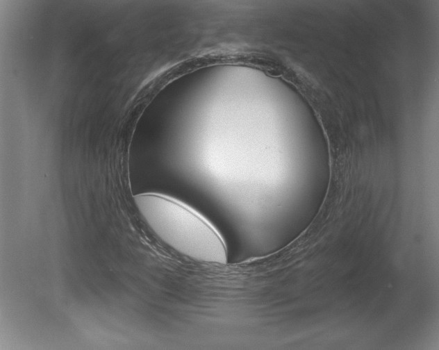 X0000078831206200611130923