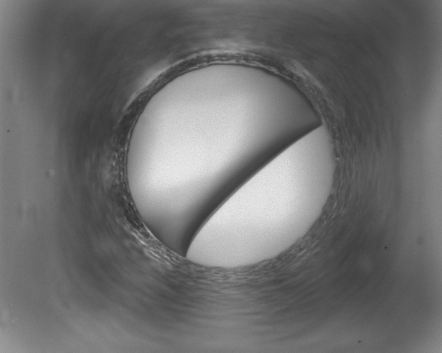 X0000078831208200611130923