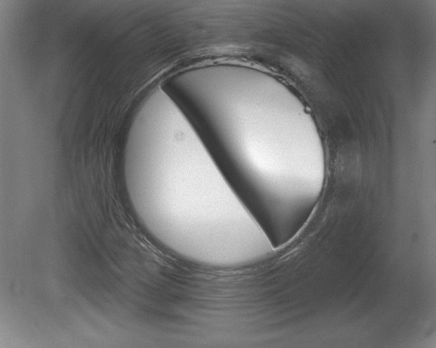 X0000078831209200611130923
