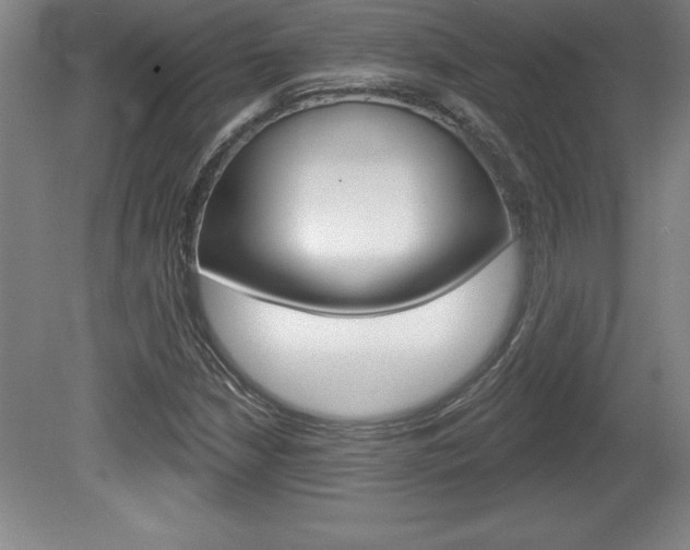 X0000078831210200611130923