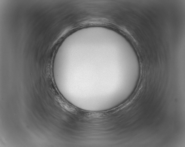 X0000078831211200611130923