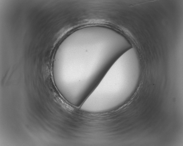X0000078831212200611130923