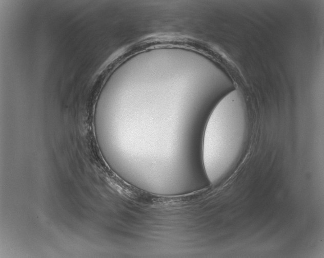 X0000078831213200611130923