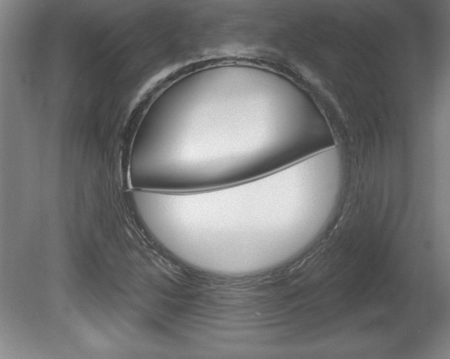 X0000078831214200611130923