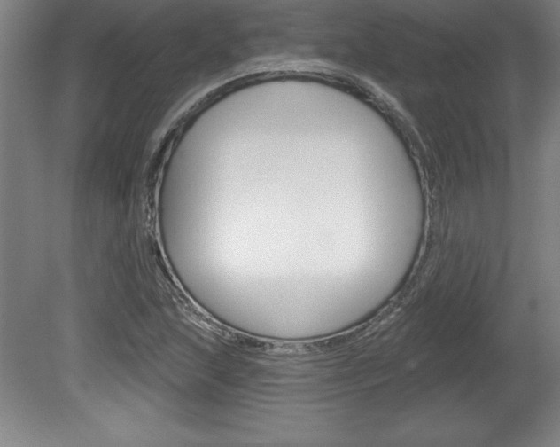 X0000078831215200611130923