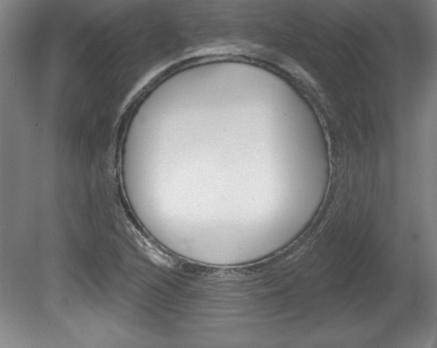 X0000078831216200611130923