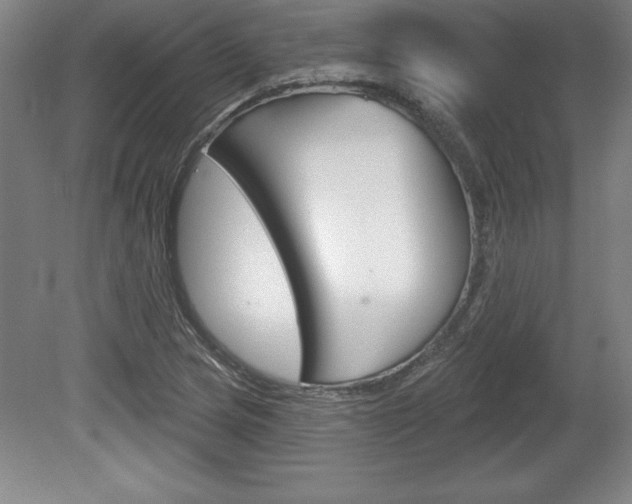 X0000078831217200611130923