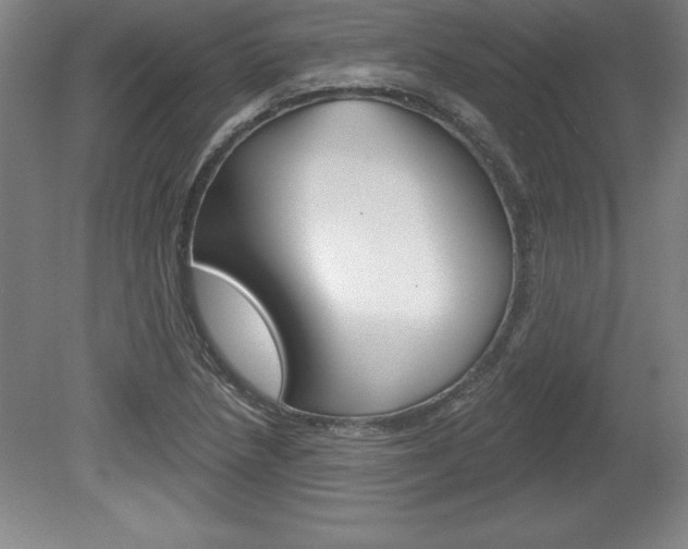 X0000078831218200611130923