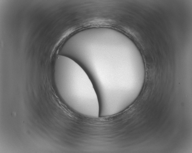 X0000078831219200611130923