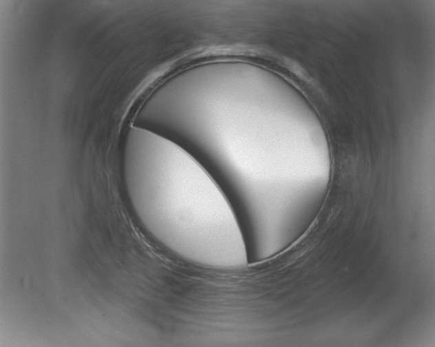 X0000078831221200611130923
