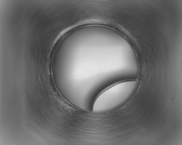 X0000078831222200611130923