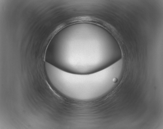 X0000078831225200611130923