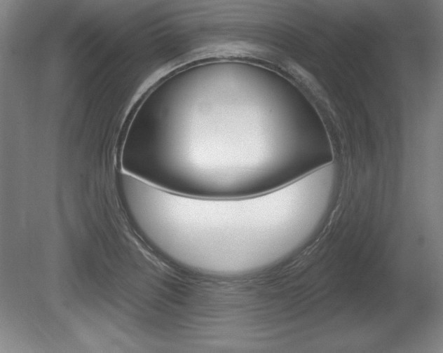 X0000078831226200611130923
