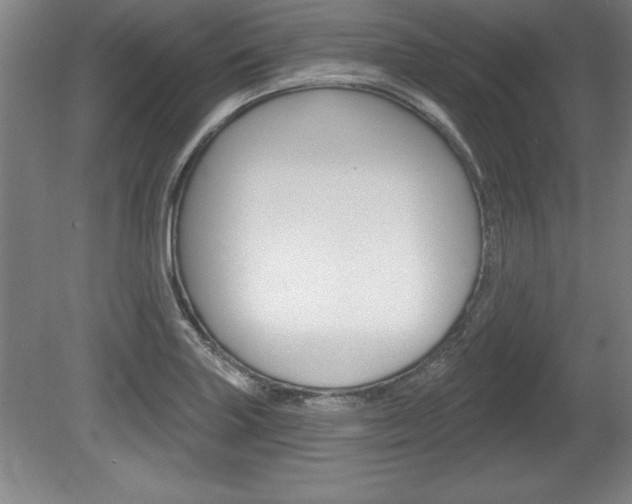 X0000078831227200611130923