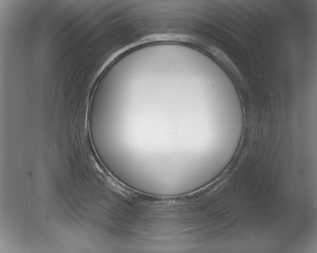 X0000078831228200611130923