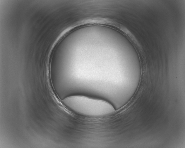 X0000078831232200611130923
