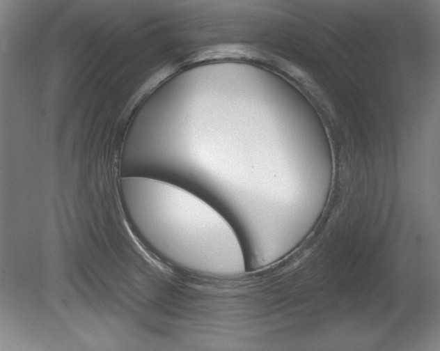 X0000078831233200611130923