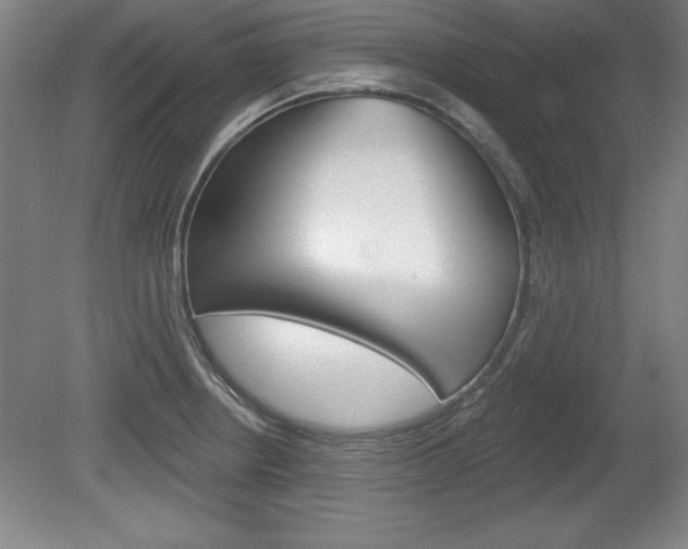 X0000078831234200611130923