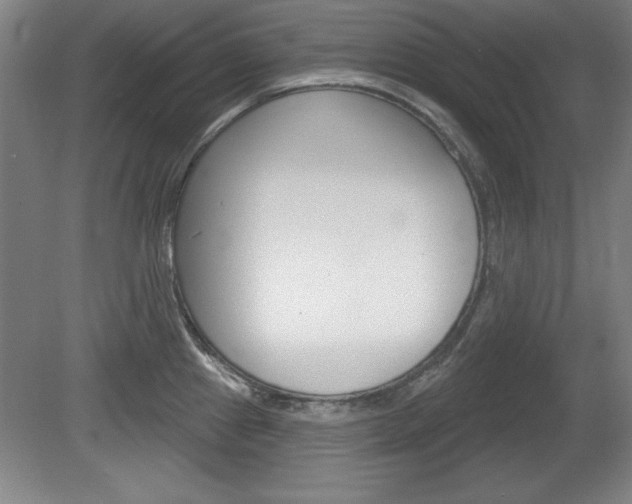 X0000078831241200611130923