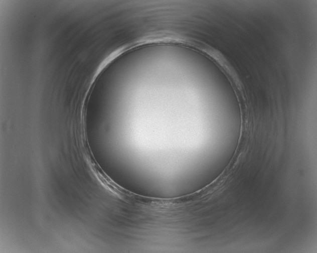 X0000078831242200611130923