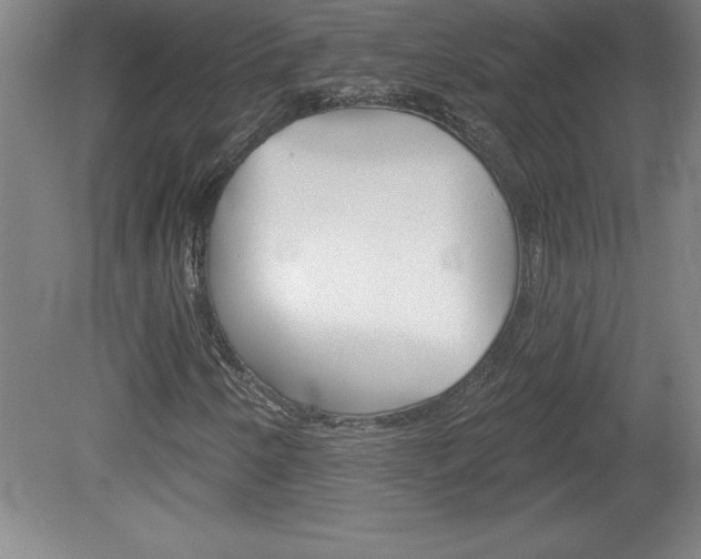 X0000078831250200611130923