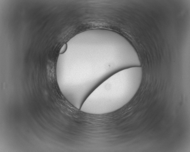 X0000078831251200611130923