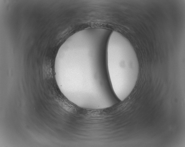 X0000078831252200611130923