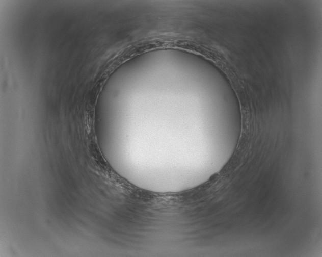 X0000078831253200611130923